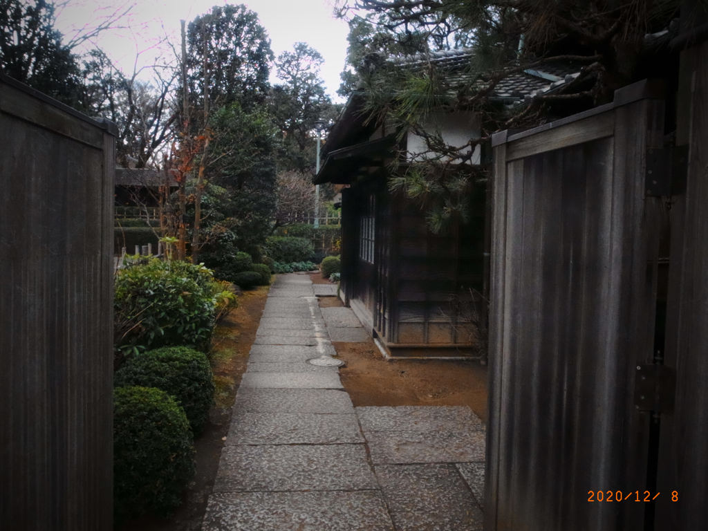 リコ－デジタル4-11