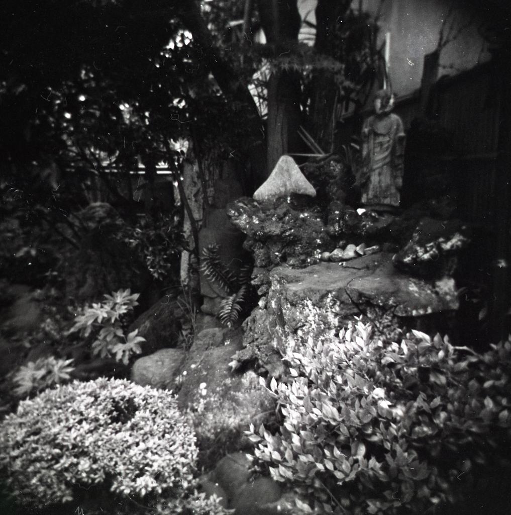holga018