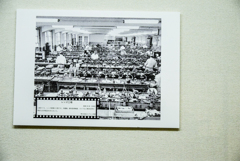 d3300-100