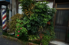 DSC00130