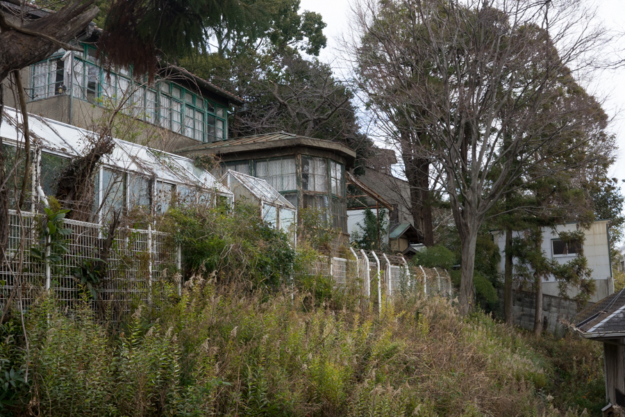 京都、大阪、信楽,奈良,三宮