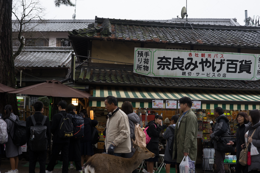 京都、大阪、信楽,奈良