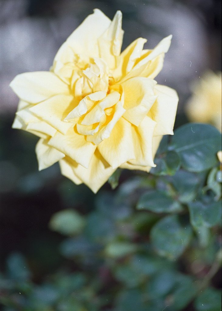 011