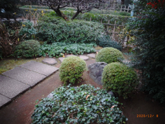 リコ－デジタル4-23