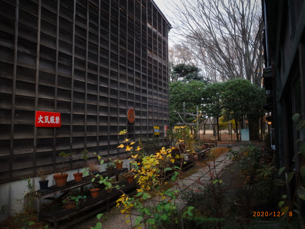 リコ－デジタル4-46