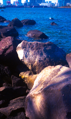 オリンパストリップ009