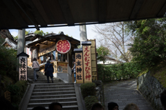 京都、大阪、信楽,奈良,三宮