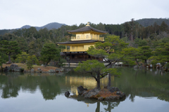 京都、大阪、信楽,奈良,三宮