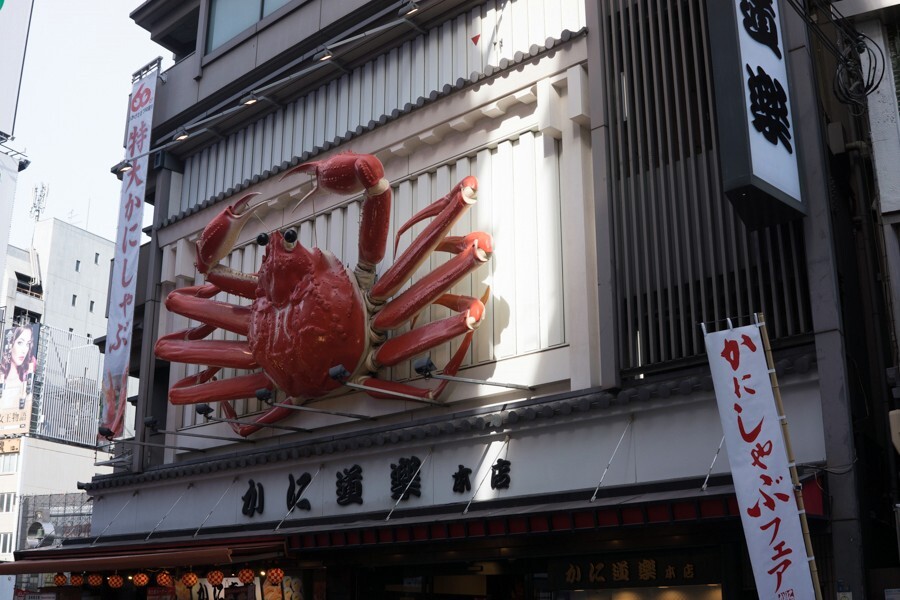 京都、大阪、信楽