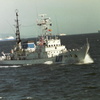 IMAG0040
