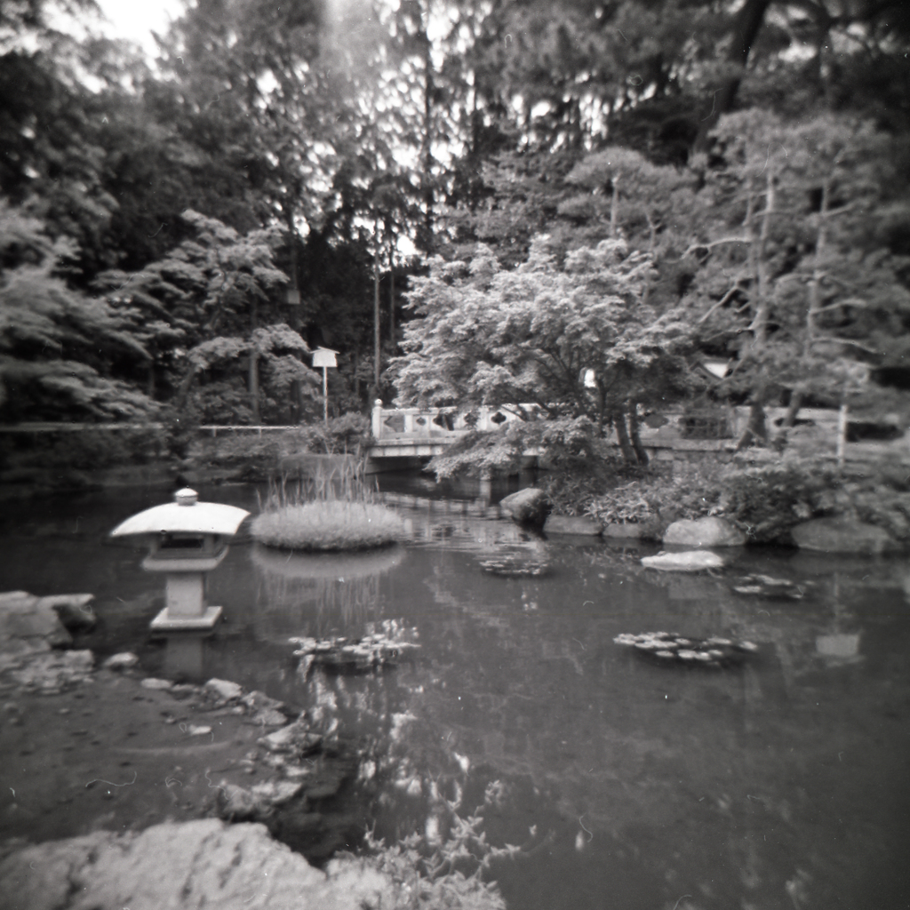 holga005