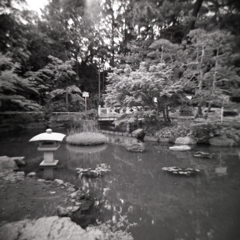 holga005 holga005