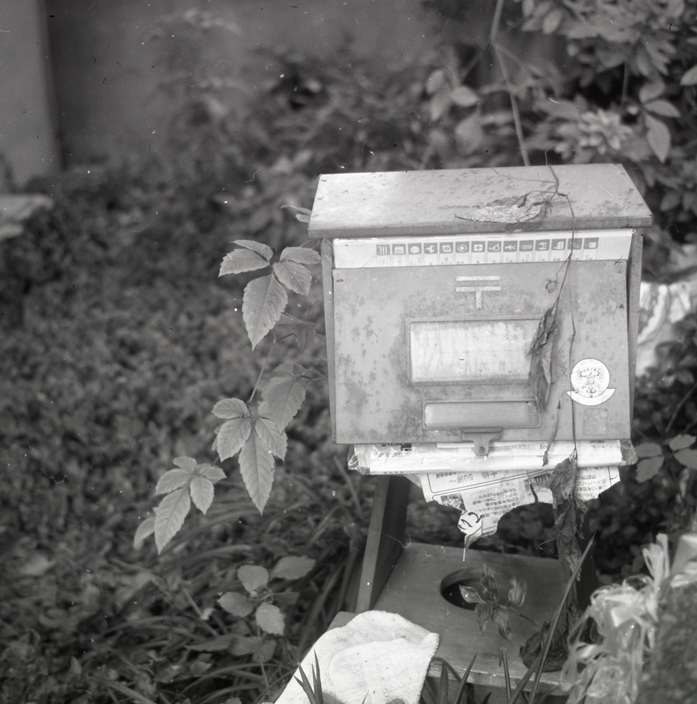 olympus six055