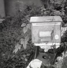 olympus six055