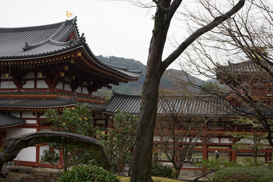 京都、大阪、信楽,奈良