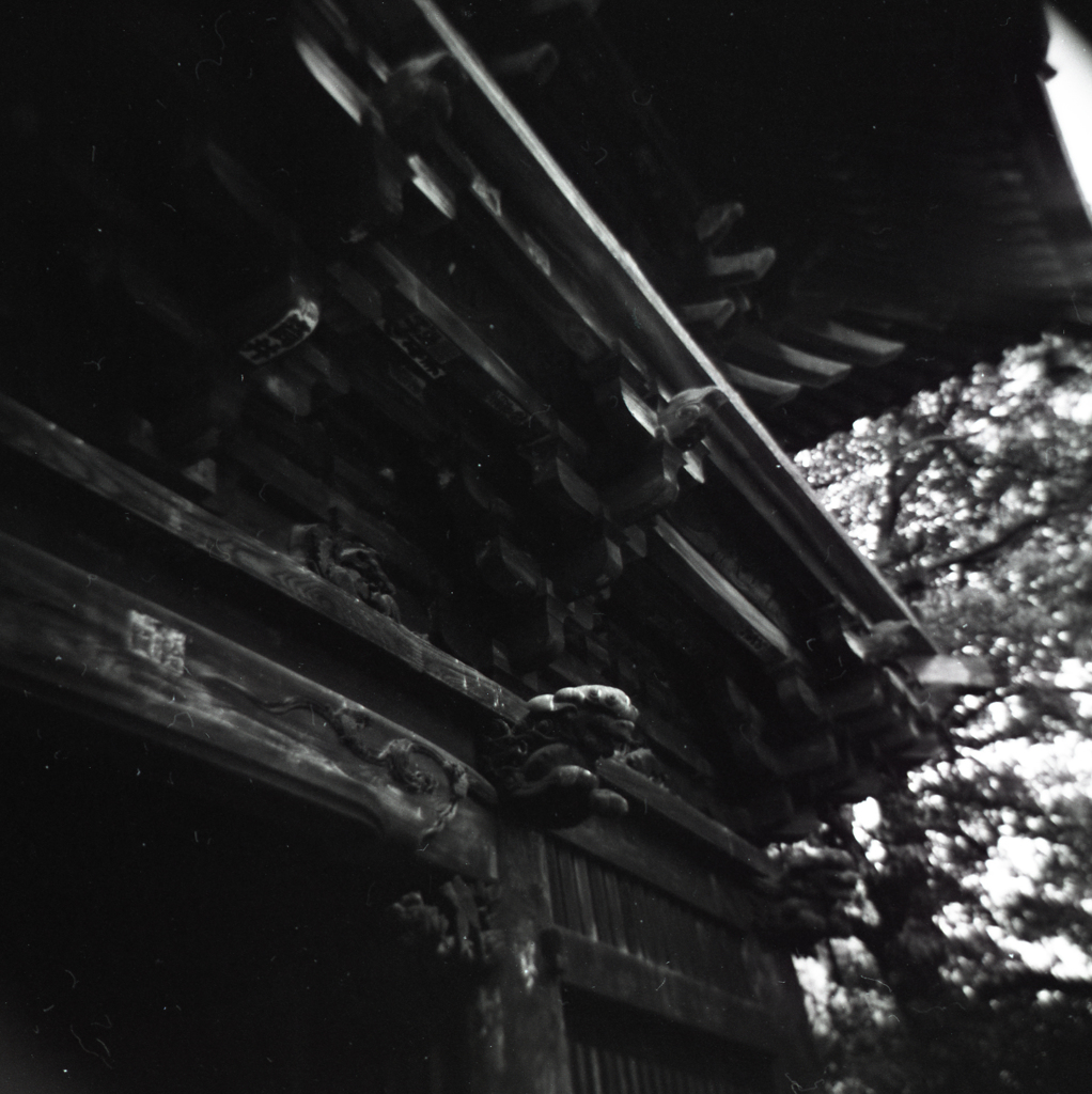 holga016