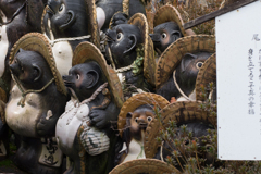 京都、大阪、信楽