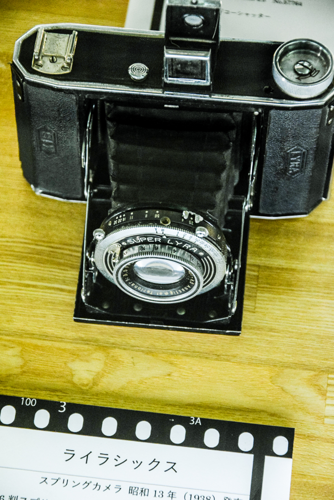 d3300-250