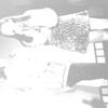 IMAG0246