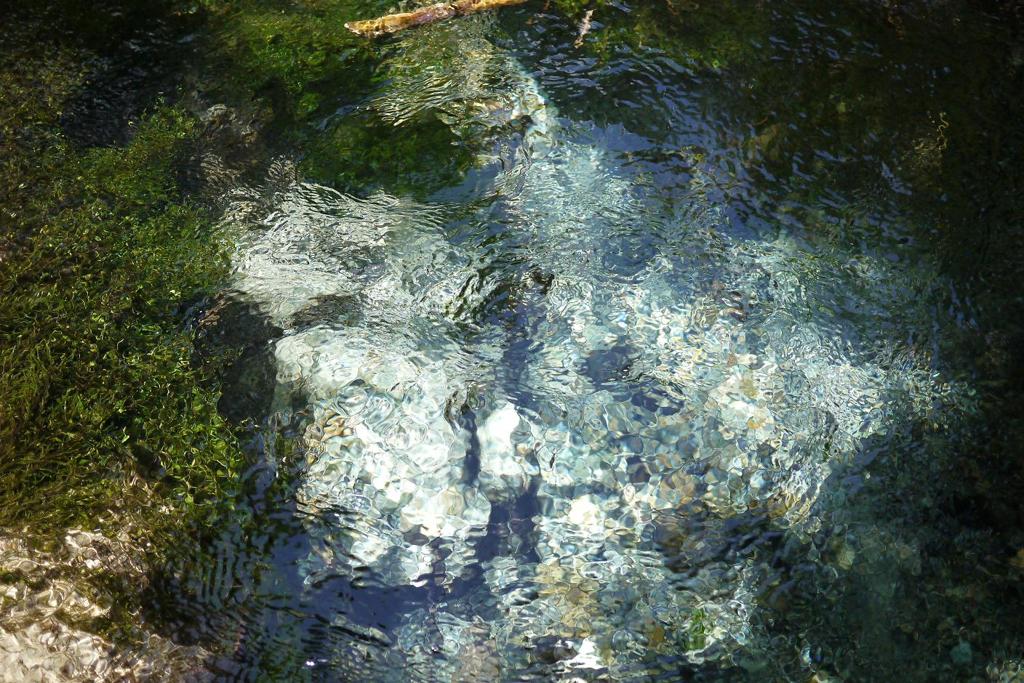 湧き出る水