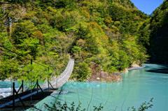 新緑の寸又峡