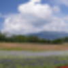 DSC01882