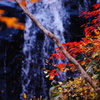 紅葉と滝