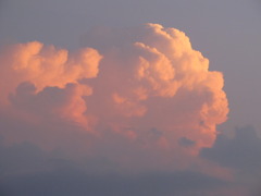 雲