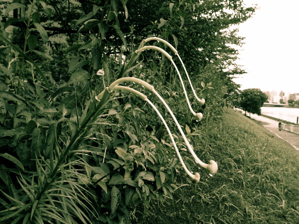 憂愁の美