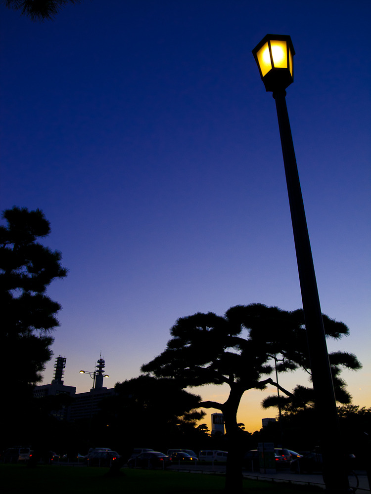 夕暮れに灯る
