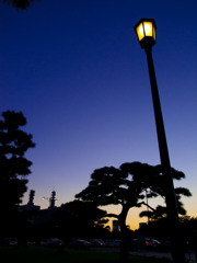 夕暮れに灯る