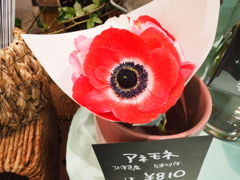OI000426