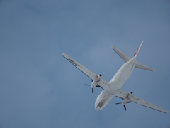 OI000299