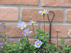 煉瓦と花