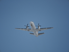 OI000298