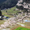 里山の春