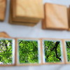 Green reflected in a mirror