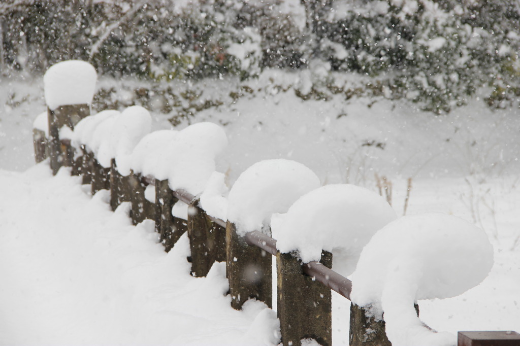 雪の烏帽子