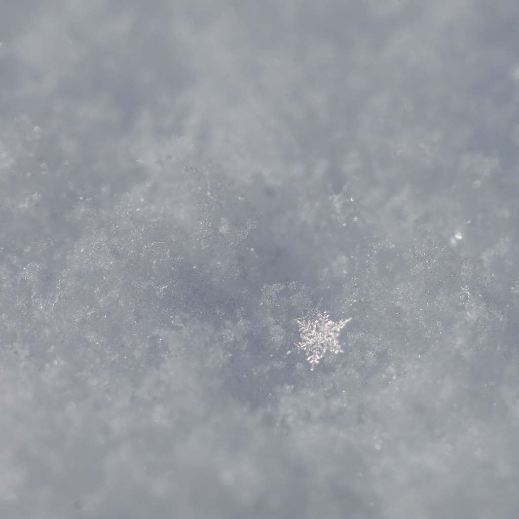 snow flakes