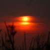 朧夕陽