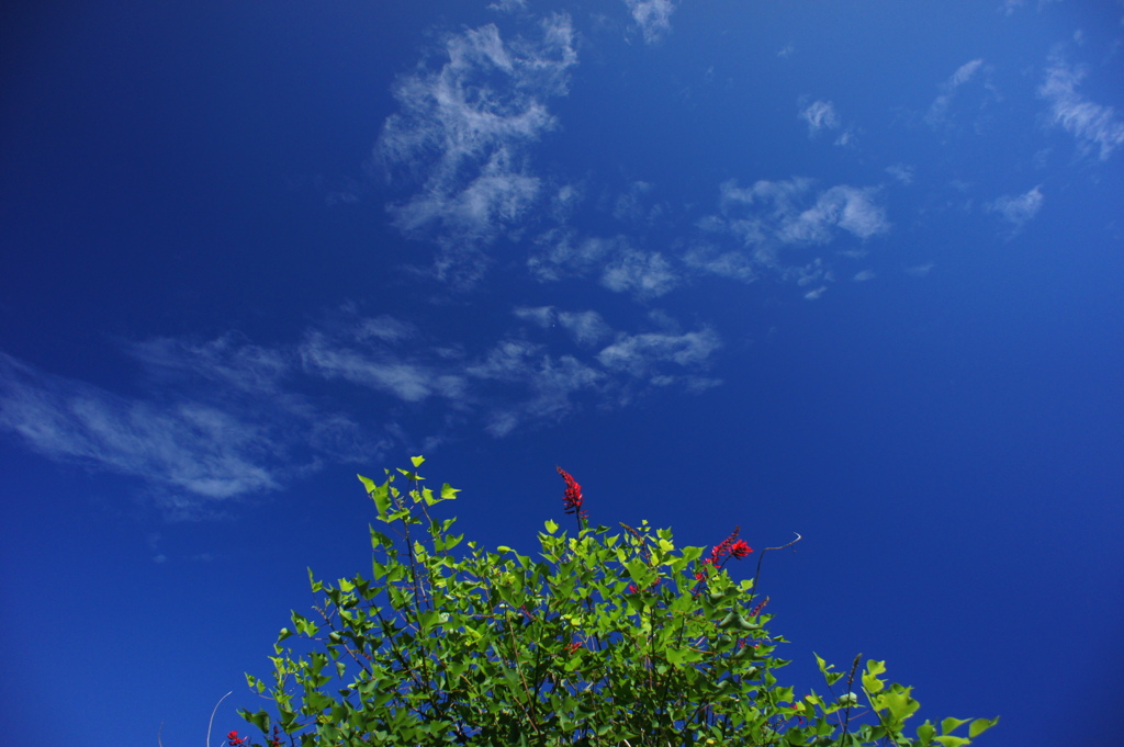 青空