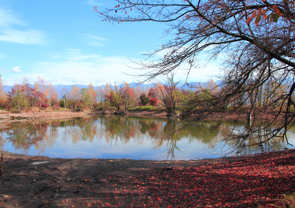 溜池の秋