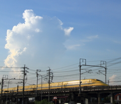 U T5