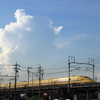 U T5