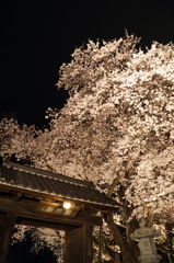 小田舎の小京都