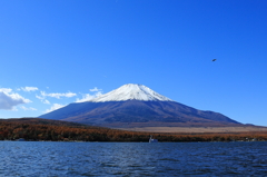 富士山&快晴