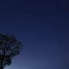 夜空と星と一本木