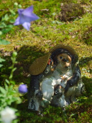 花とたぬきとたぬきとたぬき