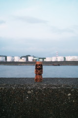 田子の浦のコロポッル