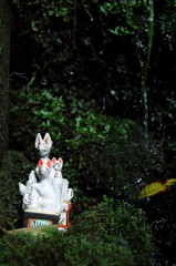 白いキツネと緑の岩場